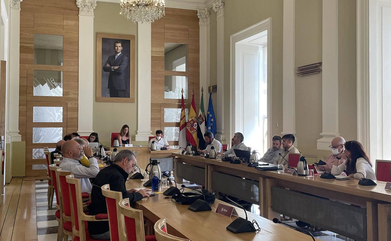 Las cuentas municipales de Cáceres superan el trámite de la comisión de Economía