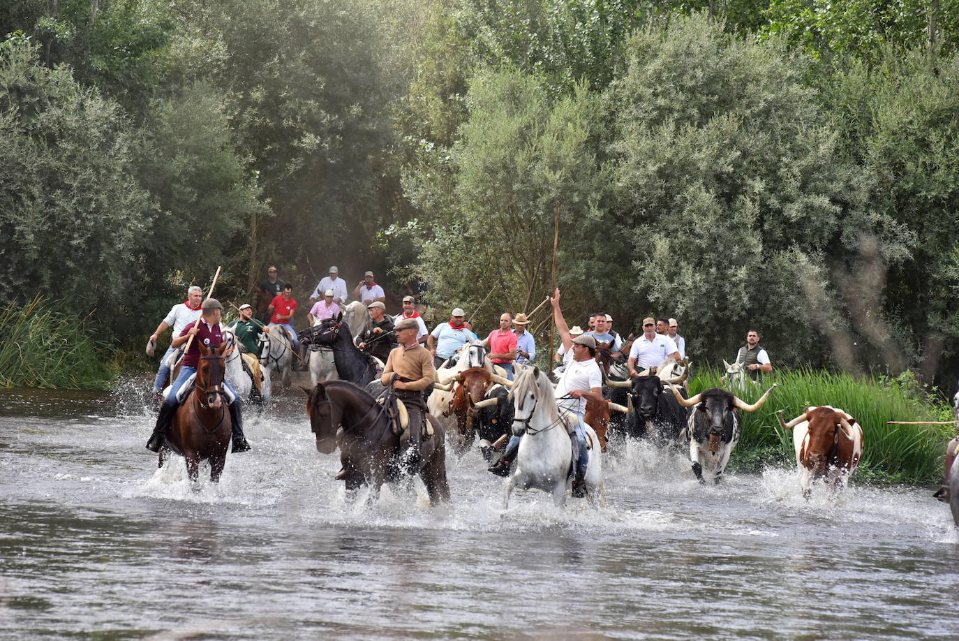 Fotos: Capeones y caballistas vadean el río Alagón