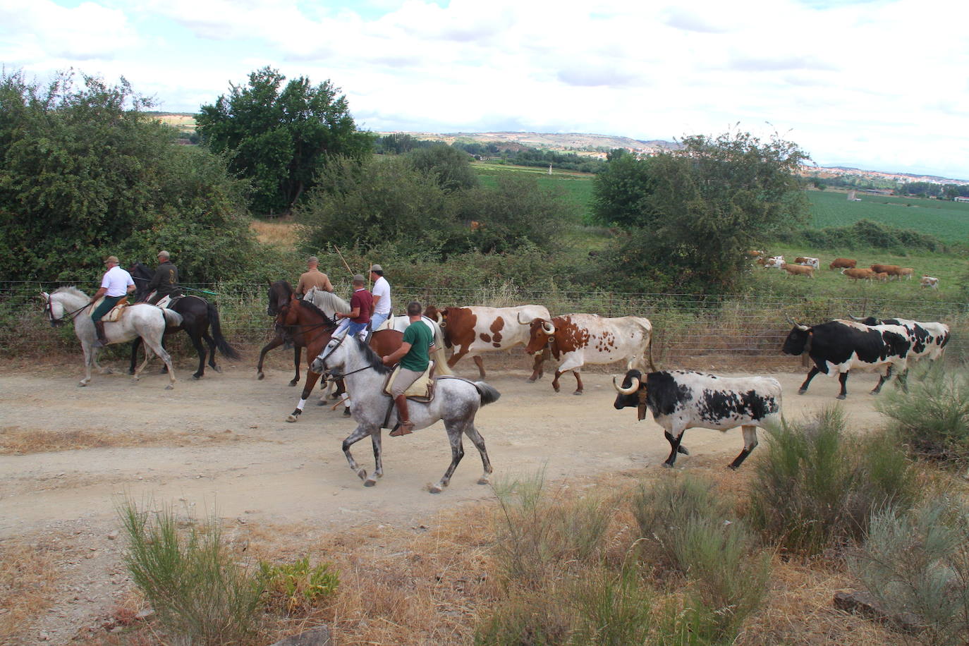 Fotos: Capeones y caballistas vadean el río Alagón