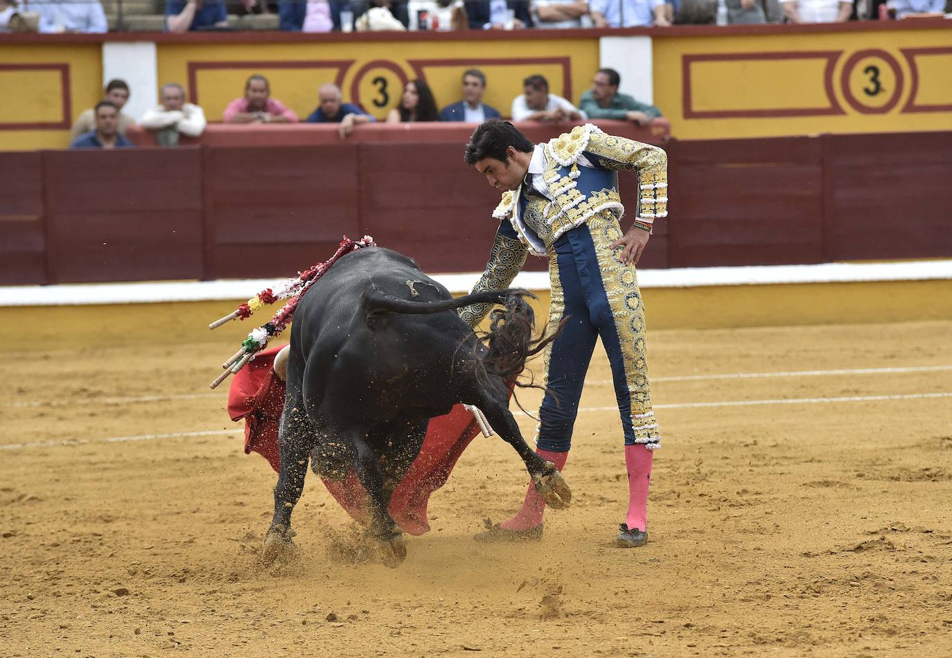 Fotos: El ganado desluce la encerrona de Perera en Badajoz
