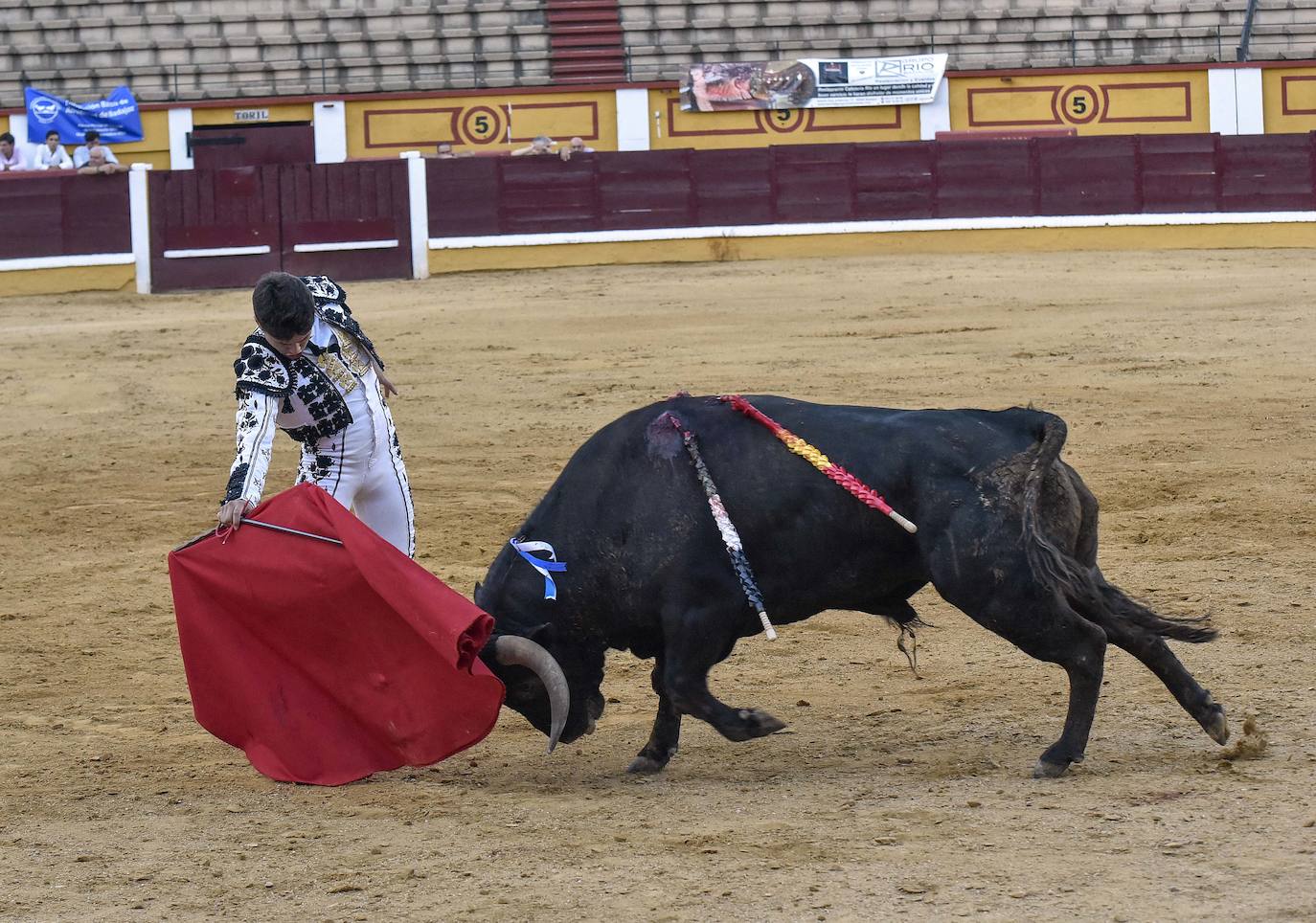 Fotos: Una excepcional novillada de Marca cierra la feria taurina de Badajoz