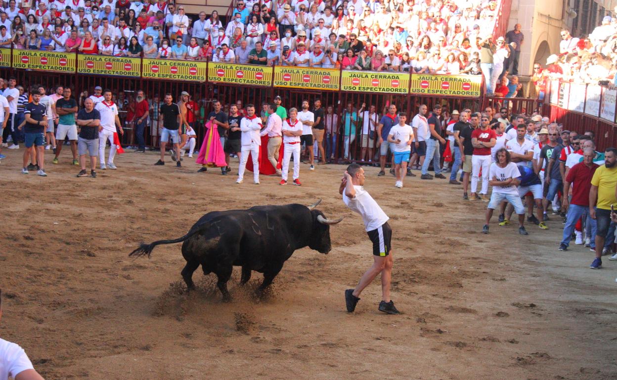 'Colibrí' protagonizó el encierro y la lidia de ayer en Coria. 
