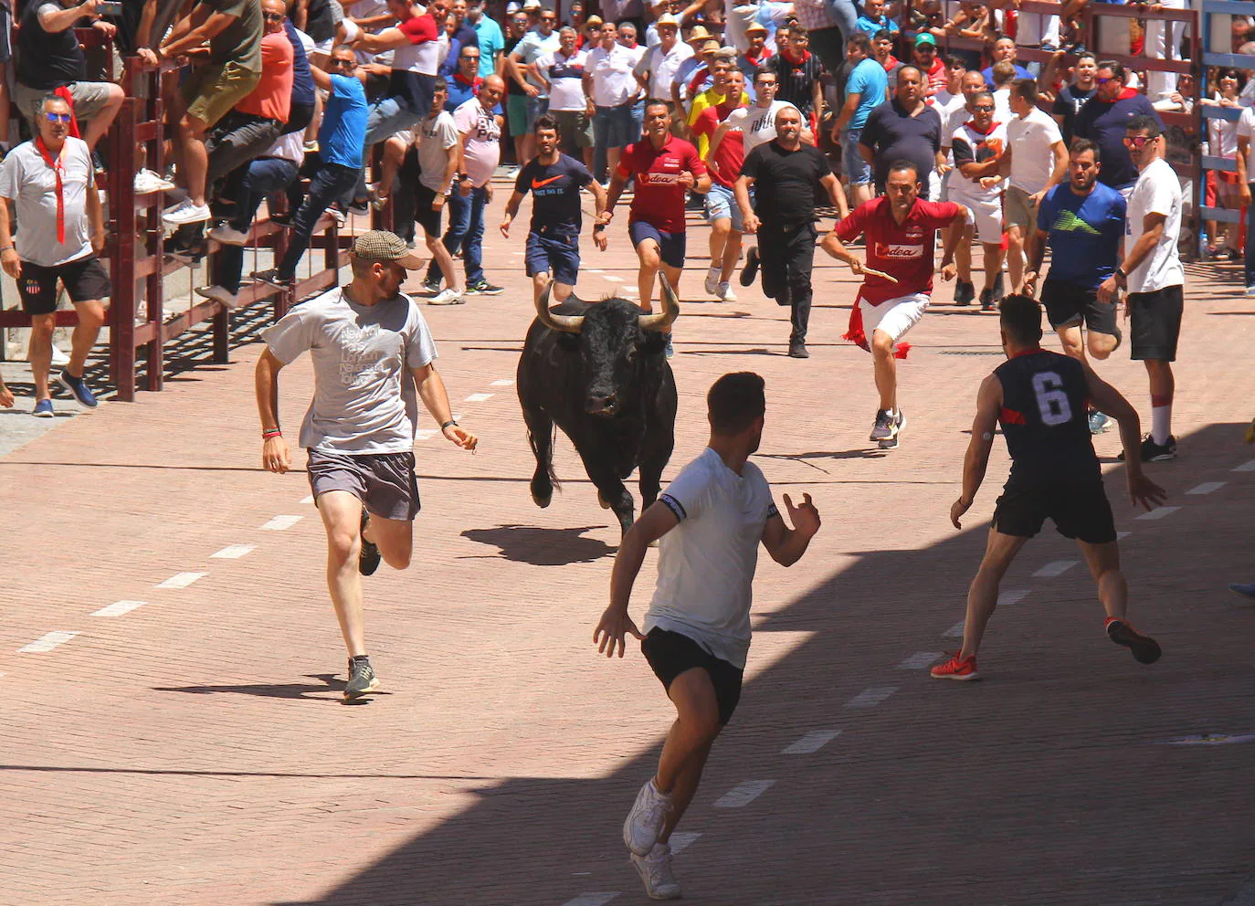 'Ruiseñor', protagonista del último encierro de los Sanjuanes 2022. Toro de la peña de La Geta, día 28.