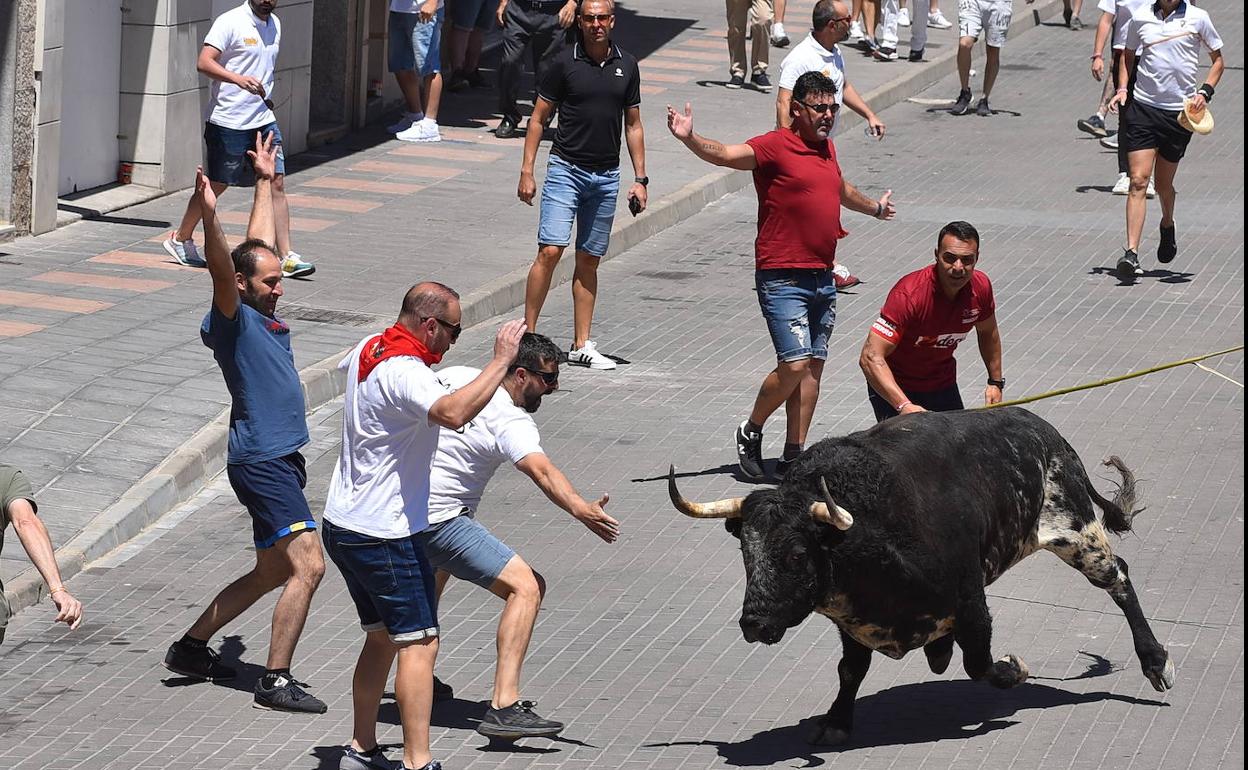 Toro de El 27 con poco movimiento en Coria
