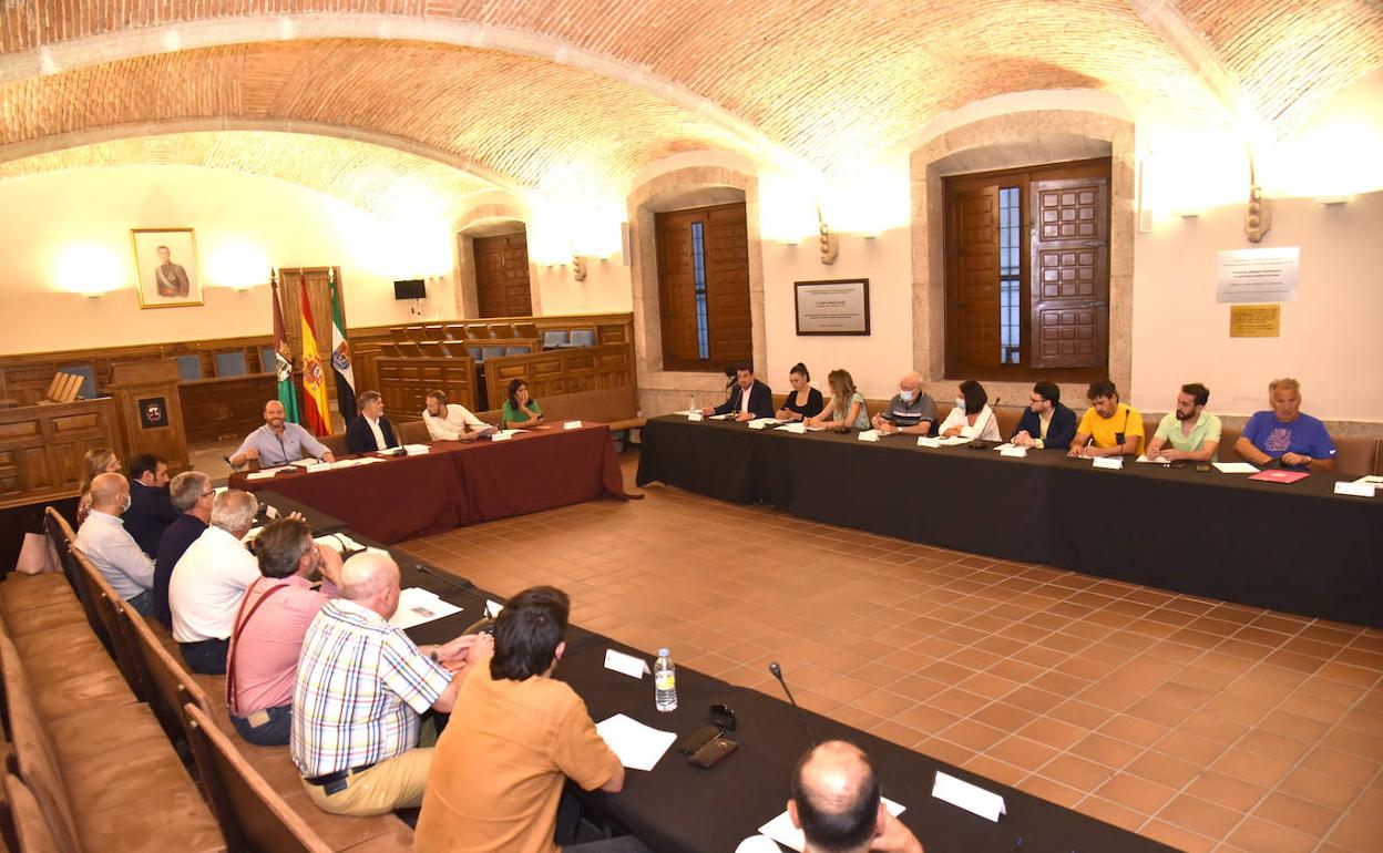 Un momento de la reunión del Consejo Económico y Social en el salón de plenos. 