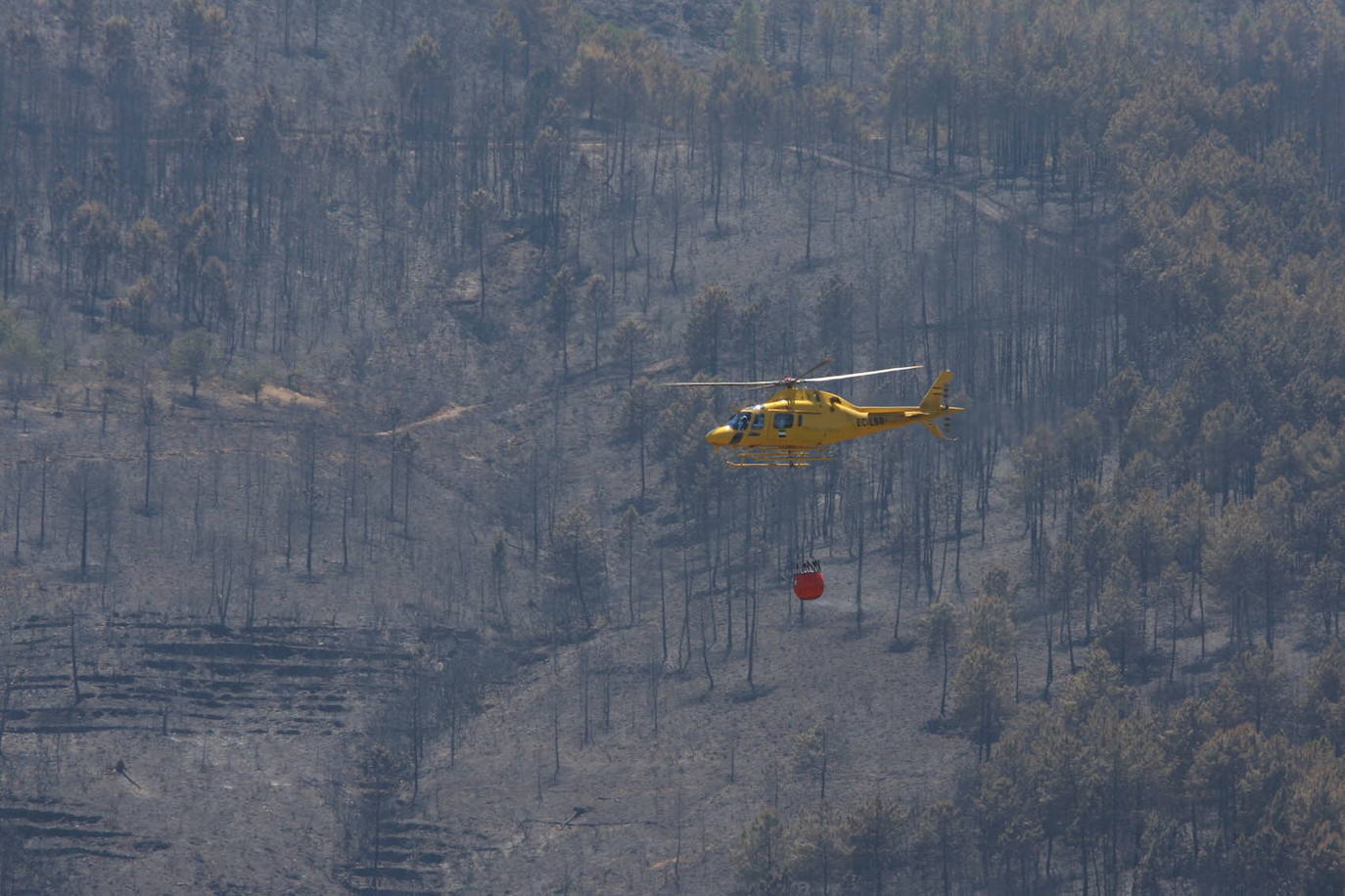 Incendio Hurdes 2009