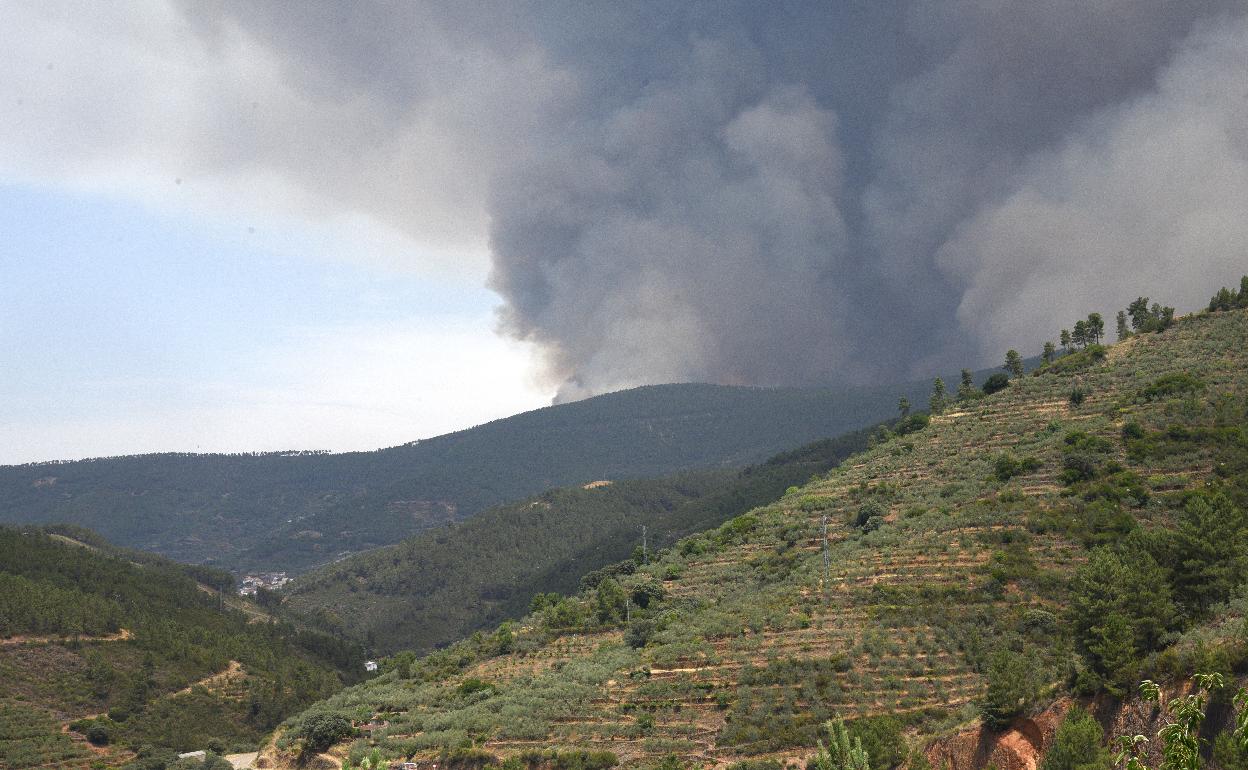 Columna de humo del incendio de Las Hurdes que todavía está activo. 