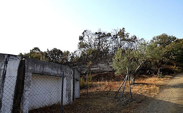 Imagen del fuego en Santa Cruz de Paniagua.