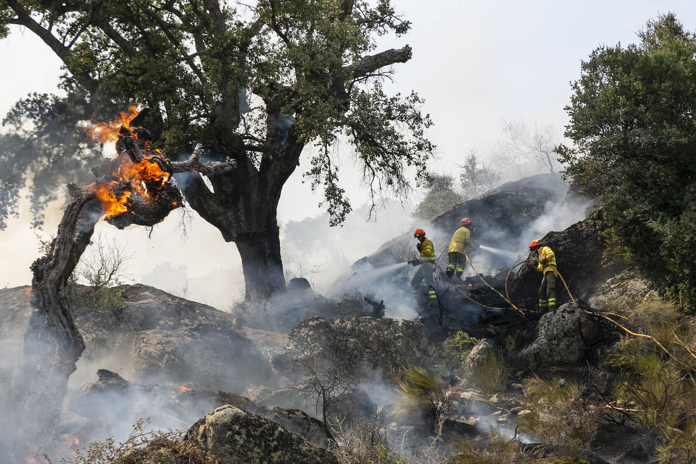 Fotos: Fuego en el monte público de Valcorchero
