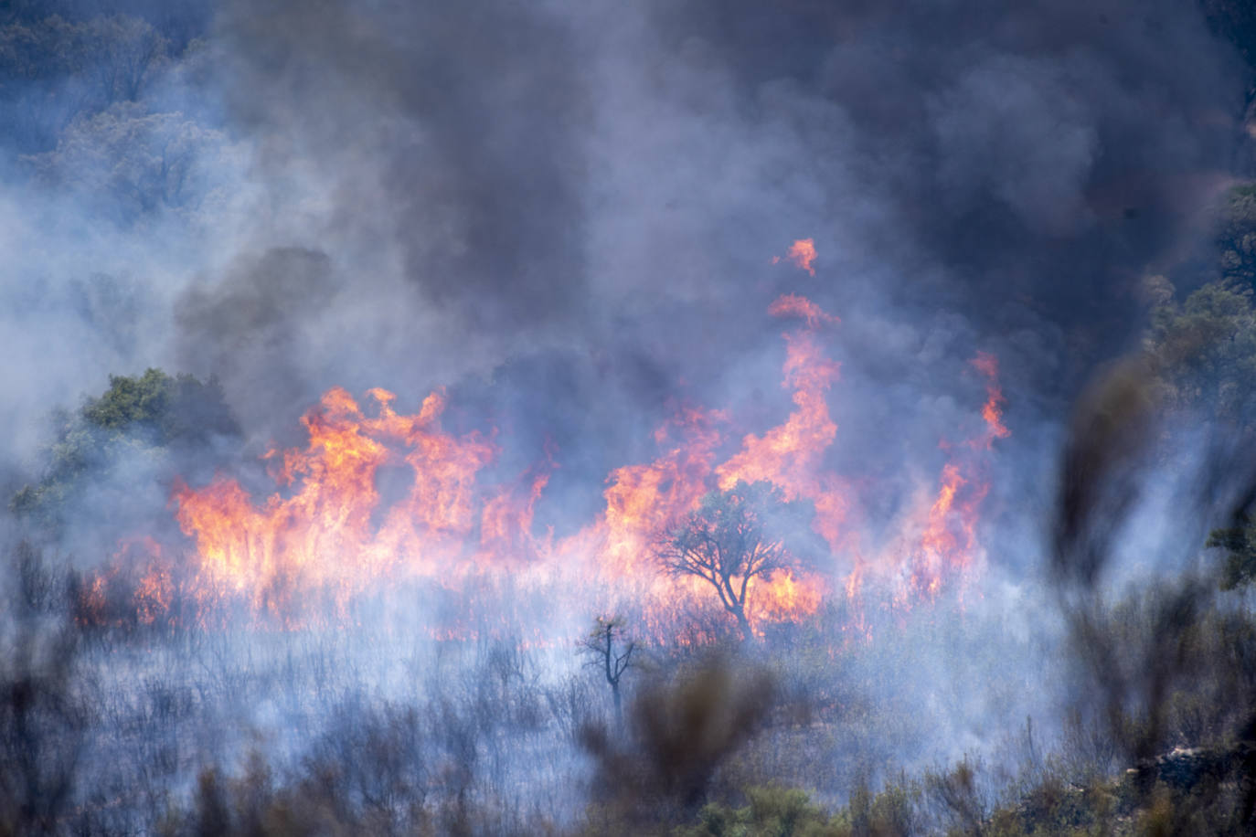 Incendio activo en la zona de Deleitosa