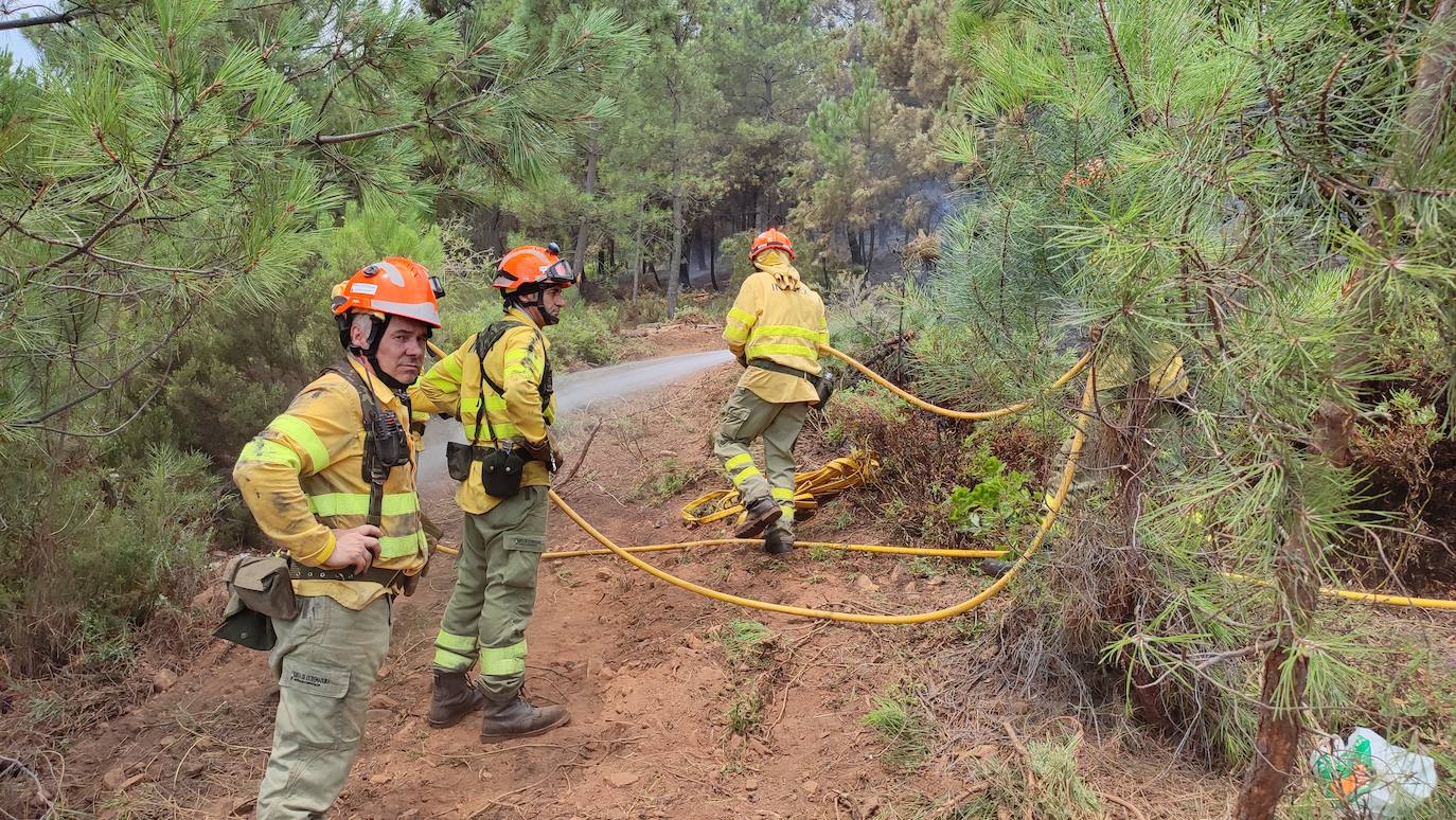 Incendio en Gata