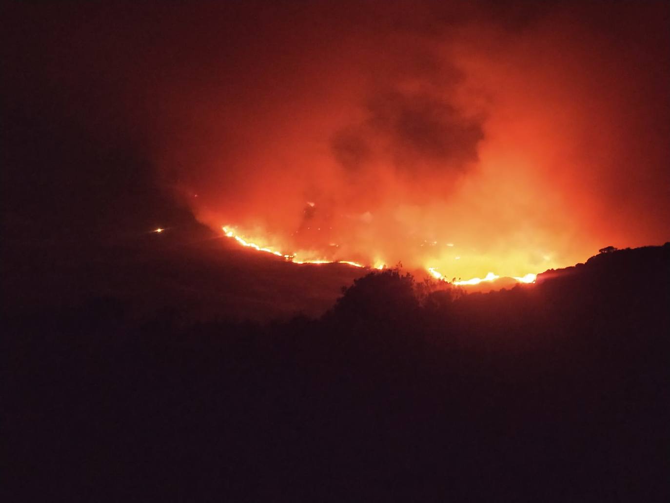 Incendio Forestal en Monfragüe