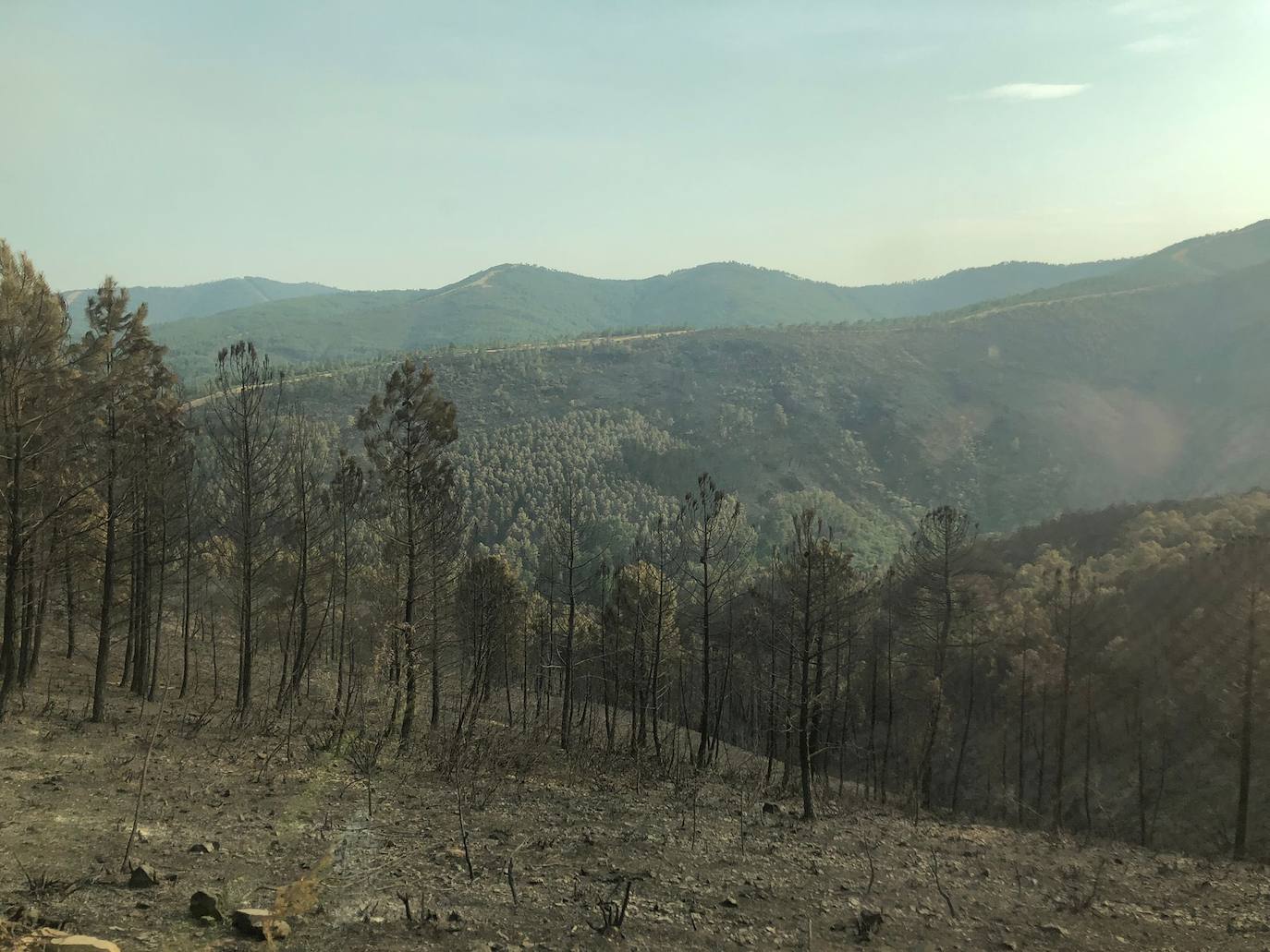 Zona del incendio en Las Hurdes