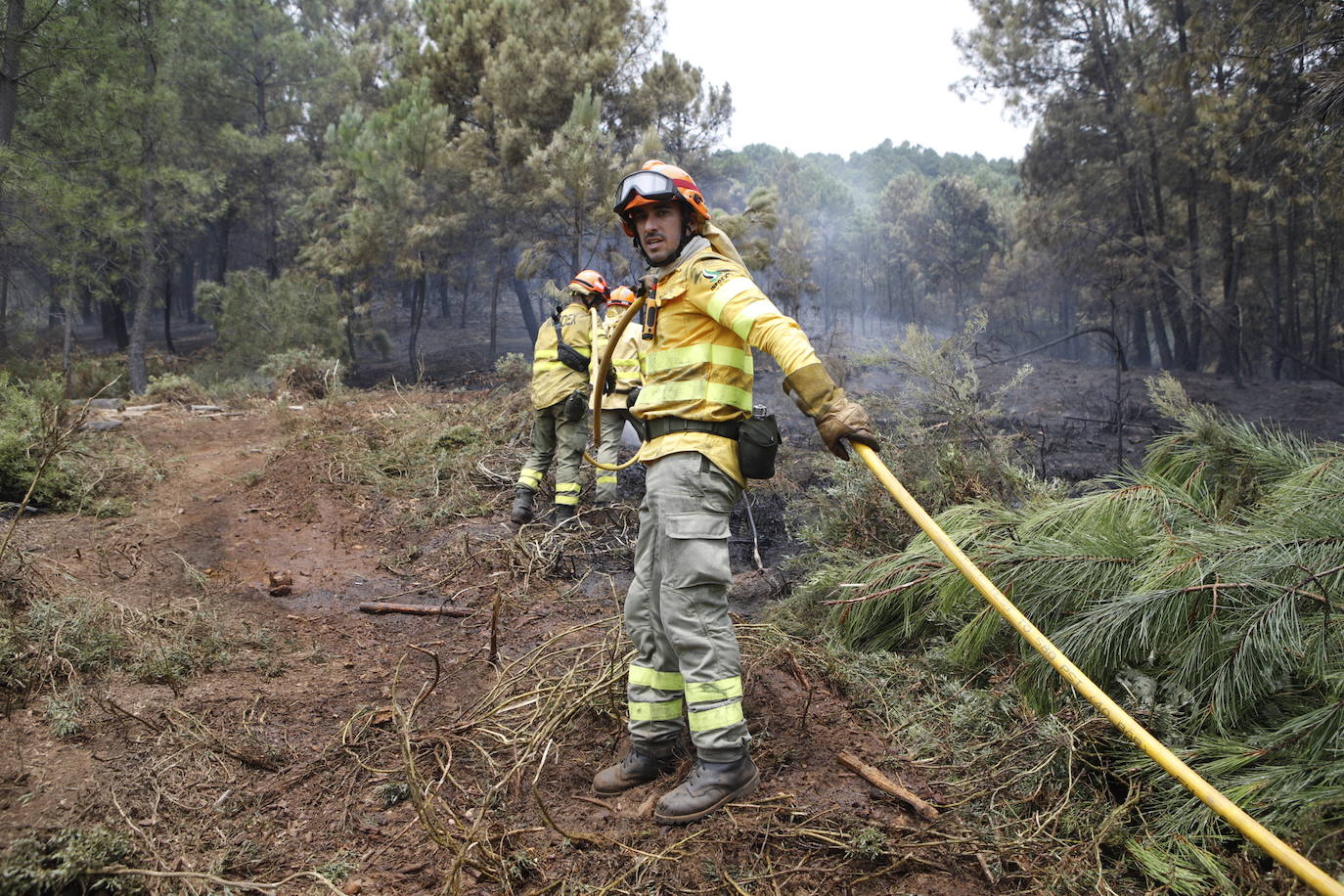 Fotos: El incendio de Sierra de Gata en imágenes