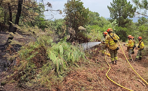 Efectivos del Infoex apagando el fuego en Torre de Don Miguel. 