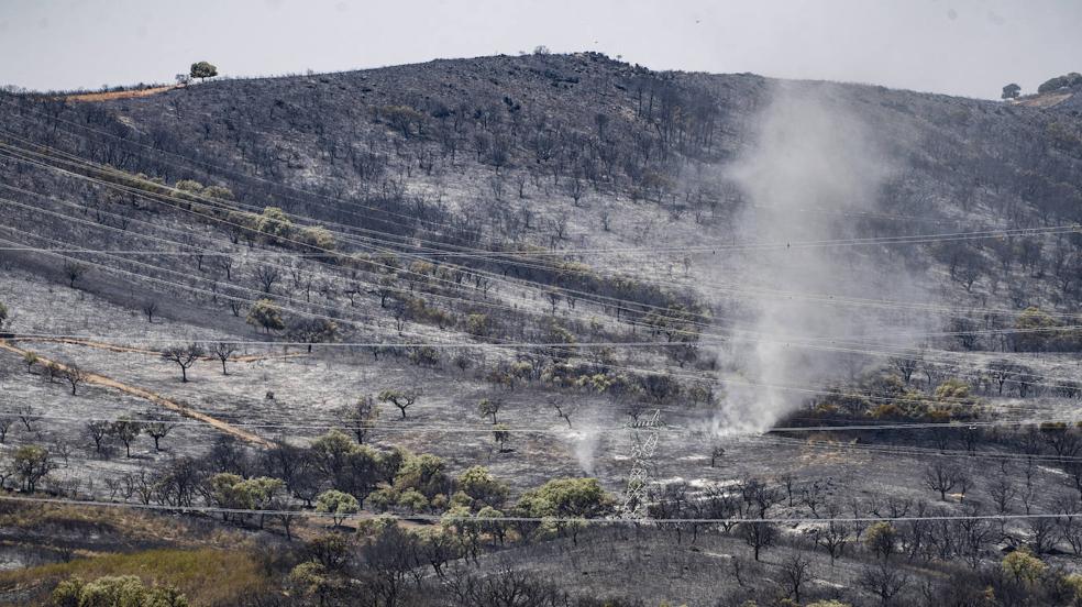 Las imágenes del incendio en Casas de Miravete este domingo