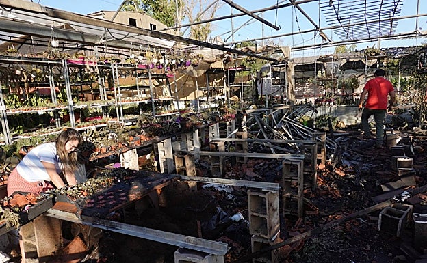 Así quedó parte del invernadero tras el incendio que sufrió ayer. 