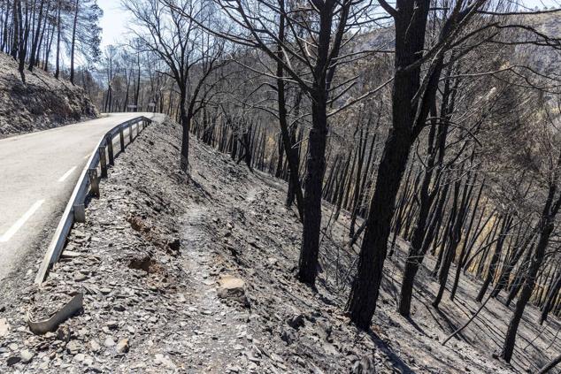 Fotos: Zona cero del incendio de Las Hurdes