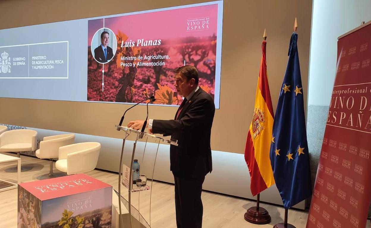 El ministro de Agricultura durante la presentación del Plan Estratégico del sector vitivinícola.