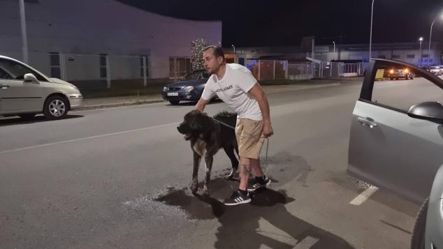 Fotos: Más de cien palmeras del vivero municipal de Mérida se queman en el incendio de El Prado