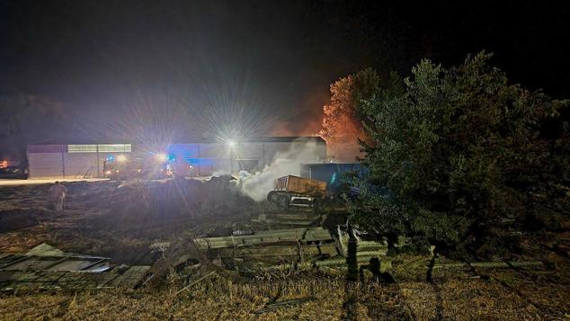 Fotos: Más de cien palmeras del vivero municipal de Mérida se queman en el incendio de El Prado