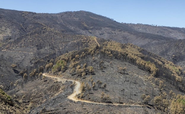 Paisaje quemado en Las Hurdes, en la parte más cercana al límite con la provincia de Salamanca.