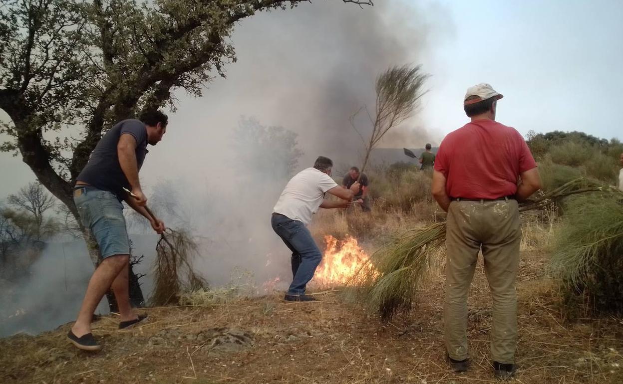 Varios vecinos intentan apagar el fuego en las proximidades de Casas de Miravete, en Monfragüe.