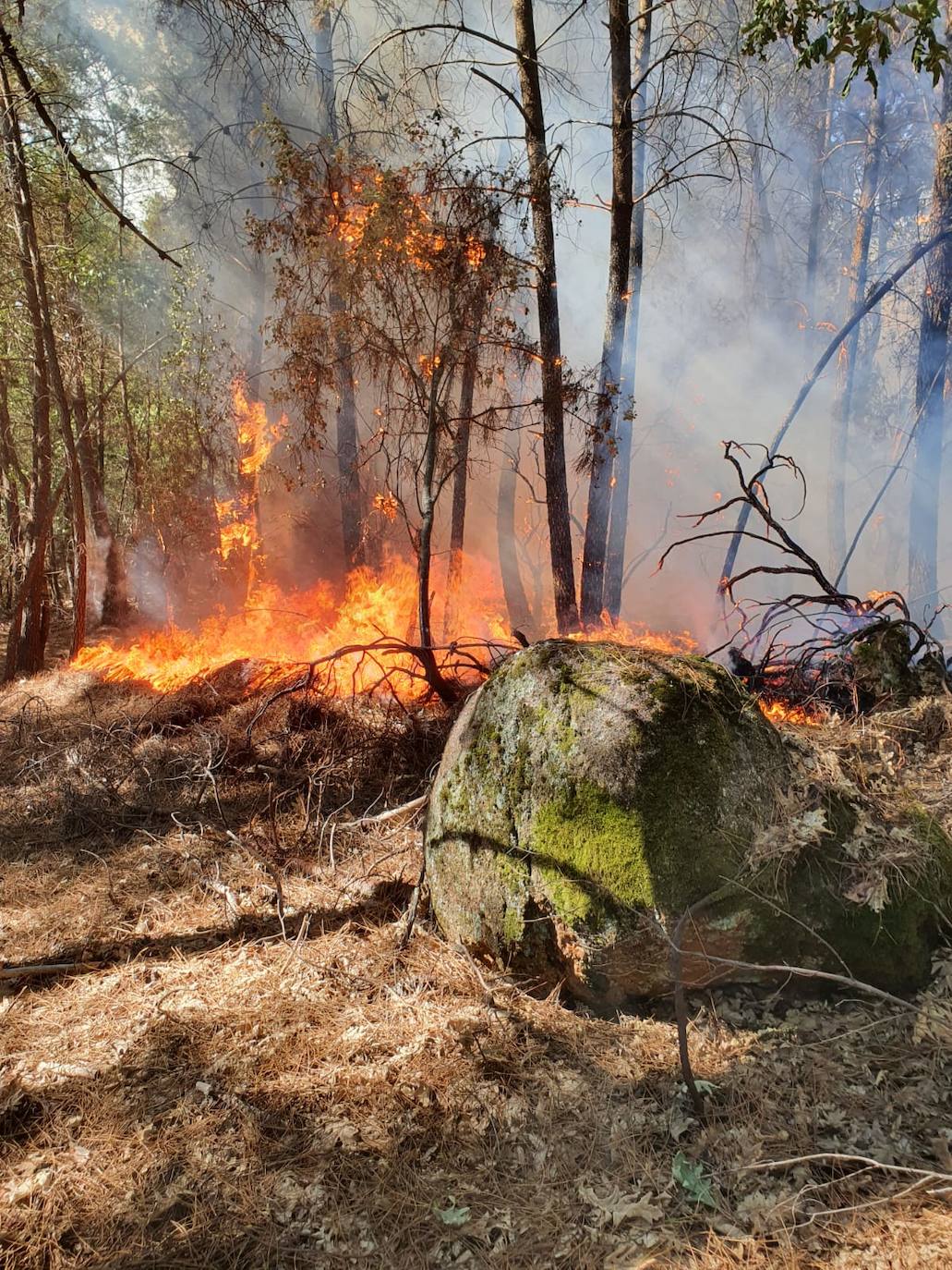 Estabilizado el incendio forestal de la localidad cacereña de Cadalso