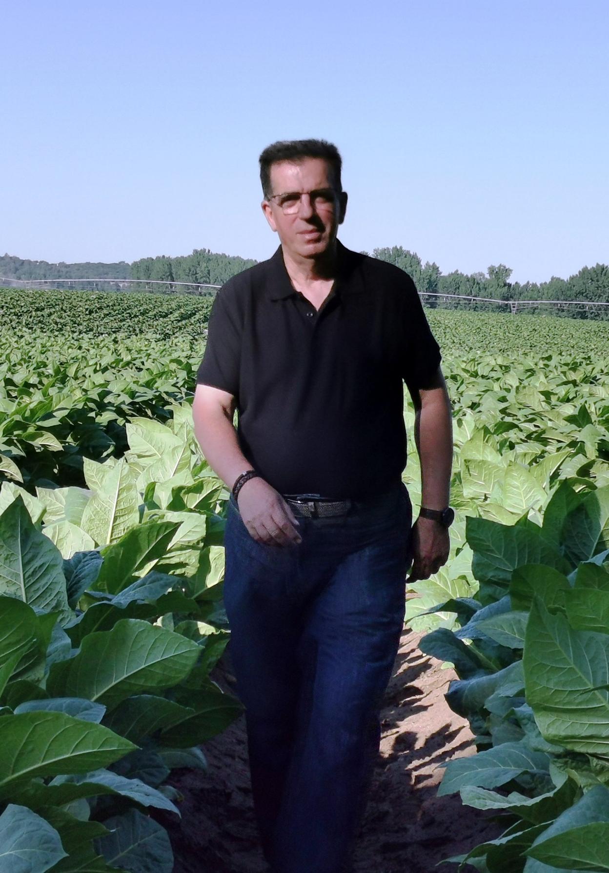 García de Paredes en medio de una plantación tabaquera. 