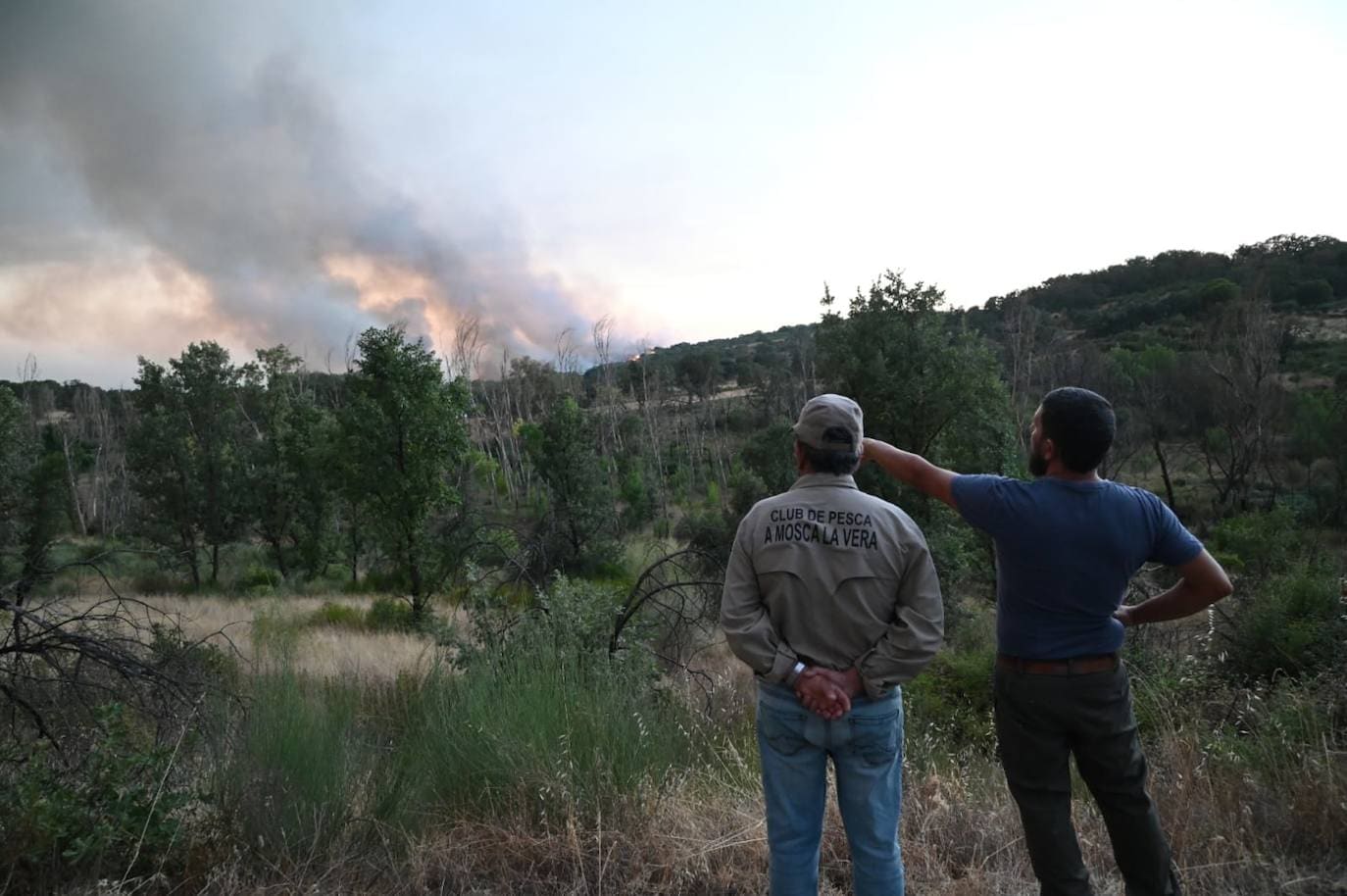 Fotos: Incendio forestal en Villanueva de la Vera 