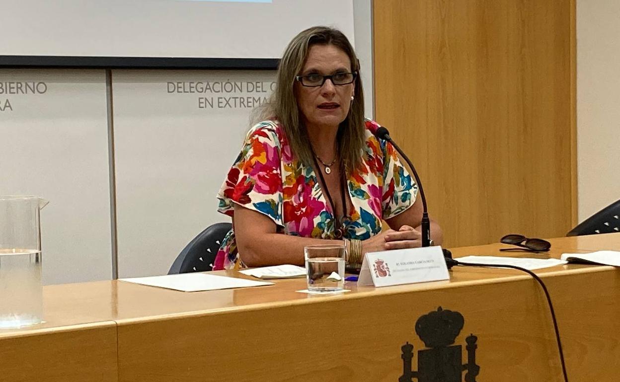 La delegada del Gobierno en Extremadura, Yolanda García Seco, durante su comparecencia. 