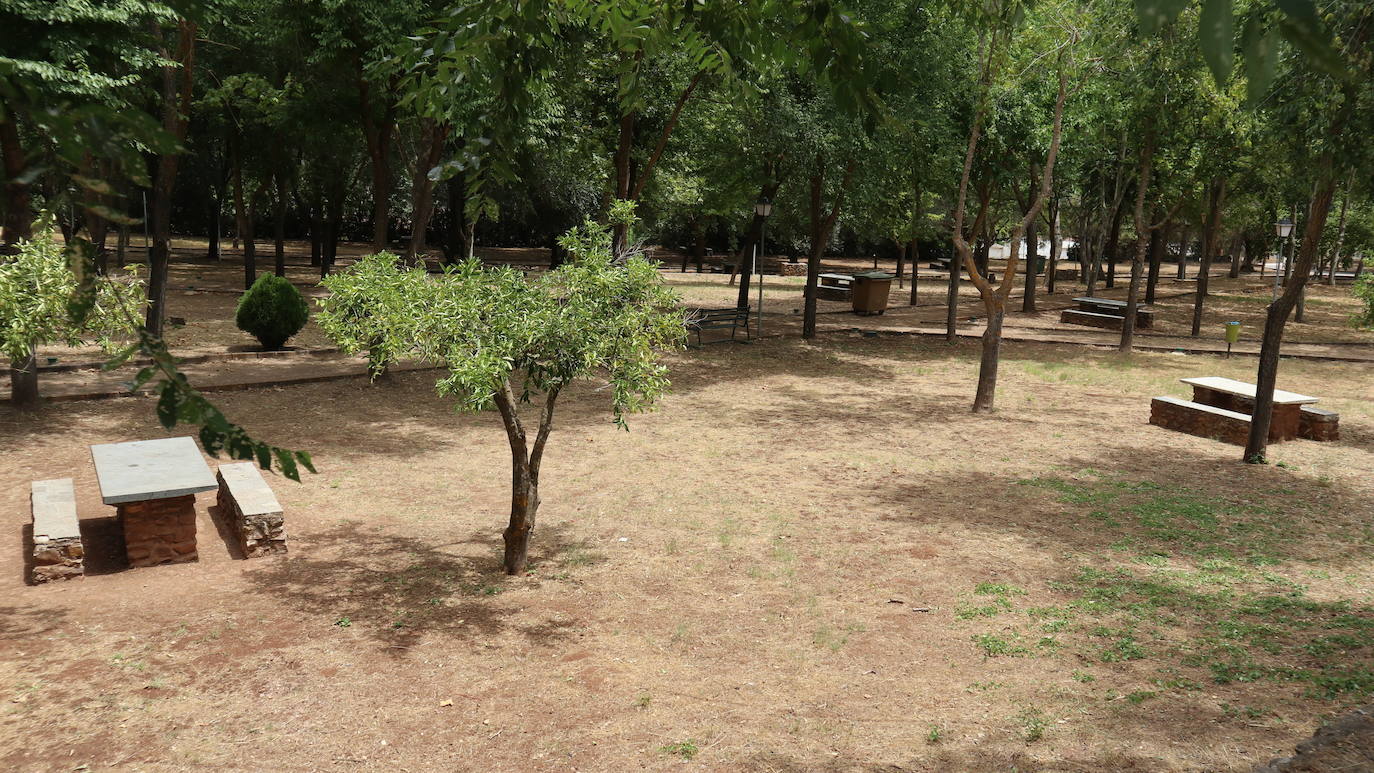 Vegetación en el merendero del exterior. 