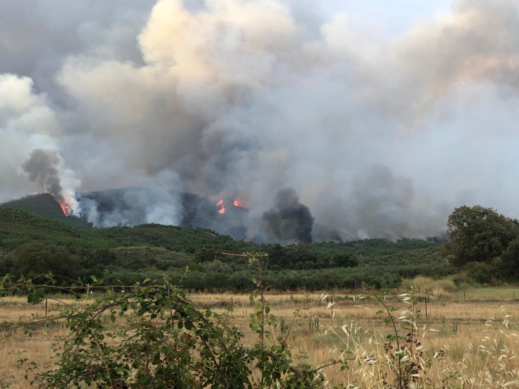 Fotos: El fuego se ceba con la Sierra de Gata