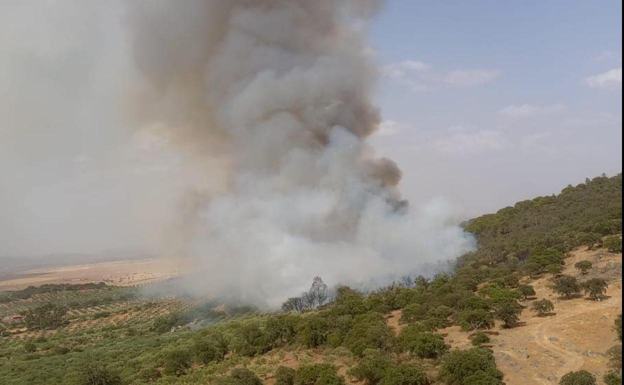 Así se ve el incendio 