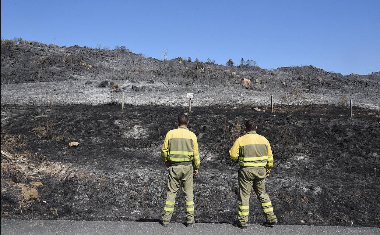 Dos bomberos forestales observan parte del terreno quemado en la Sierra de Gata.