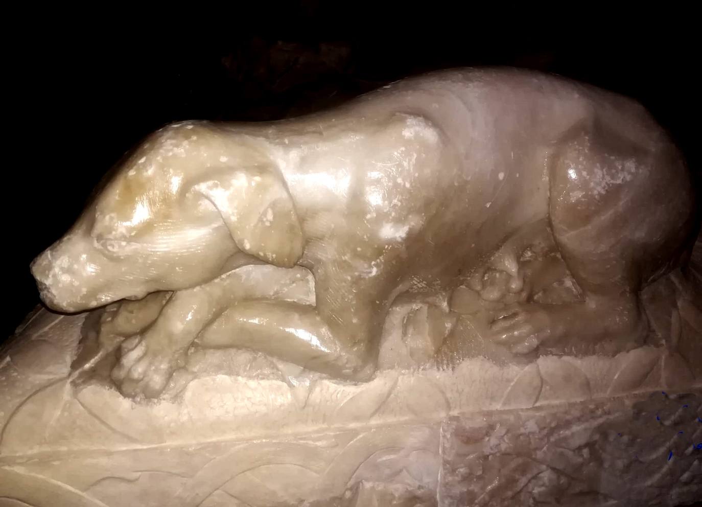 La fiel perrita que está a los pies del matrimonio.