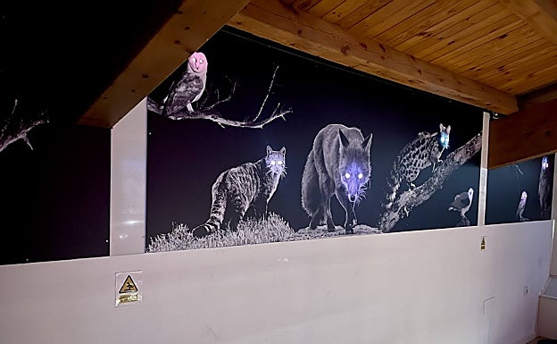 El espacio recrea distintos ambientes, entre ellos el nocturno. 