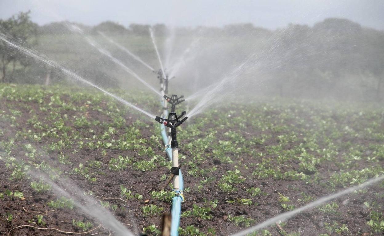 Regantes niegan que el regadío sea el culpable de las restricciones de agua por la sequía