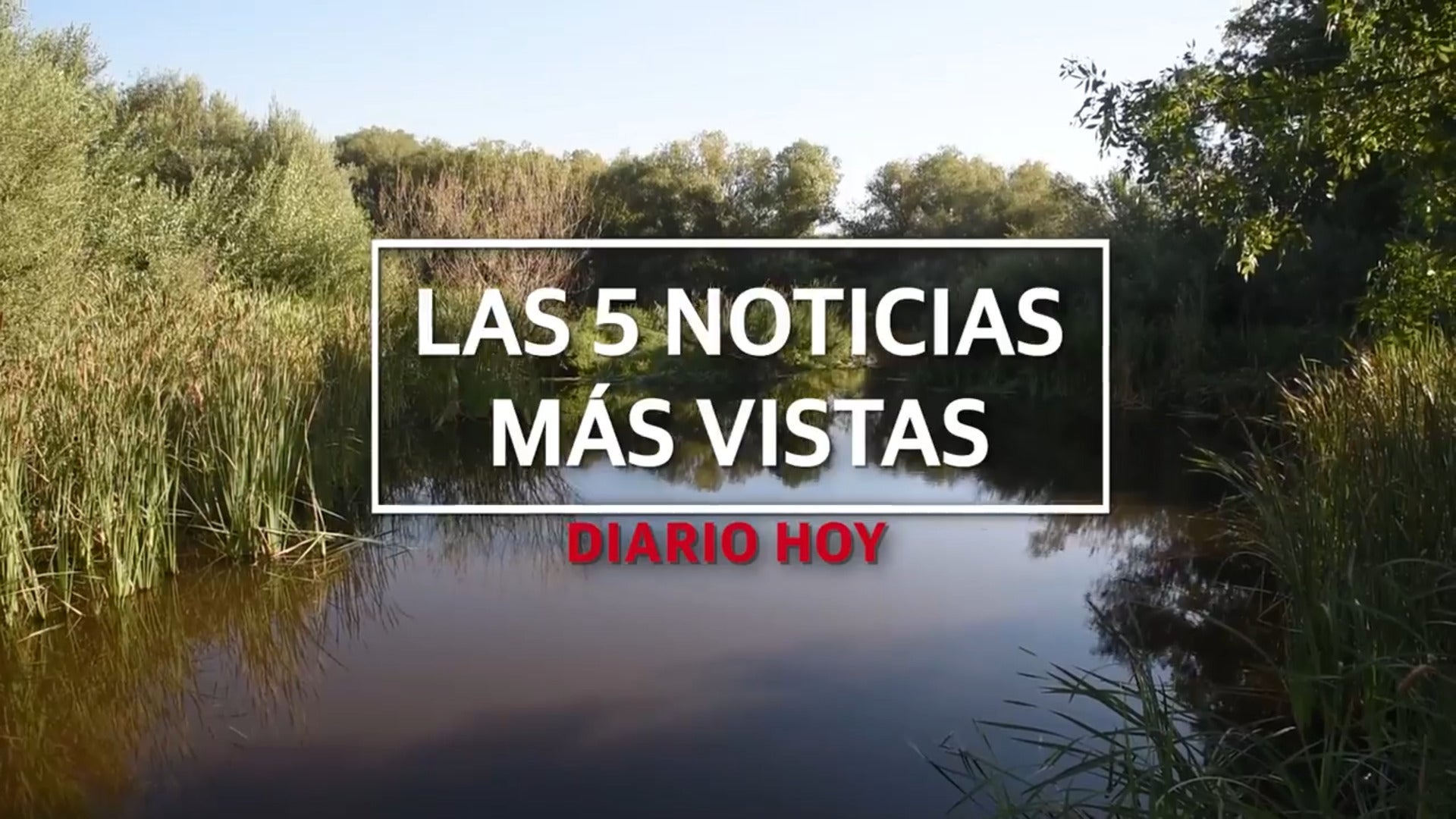 Las 5 noticias más vistas