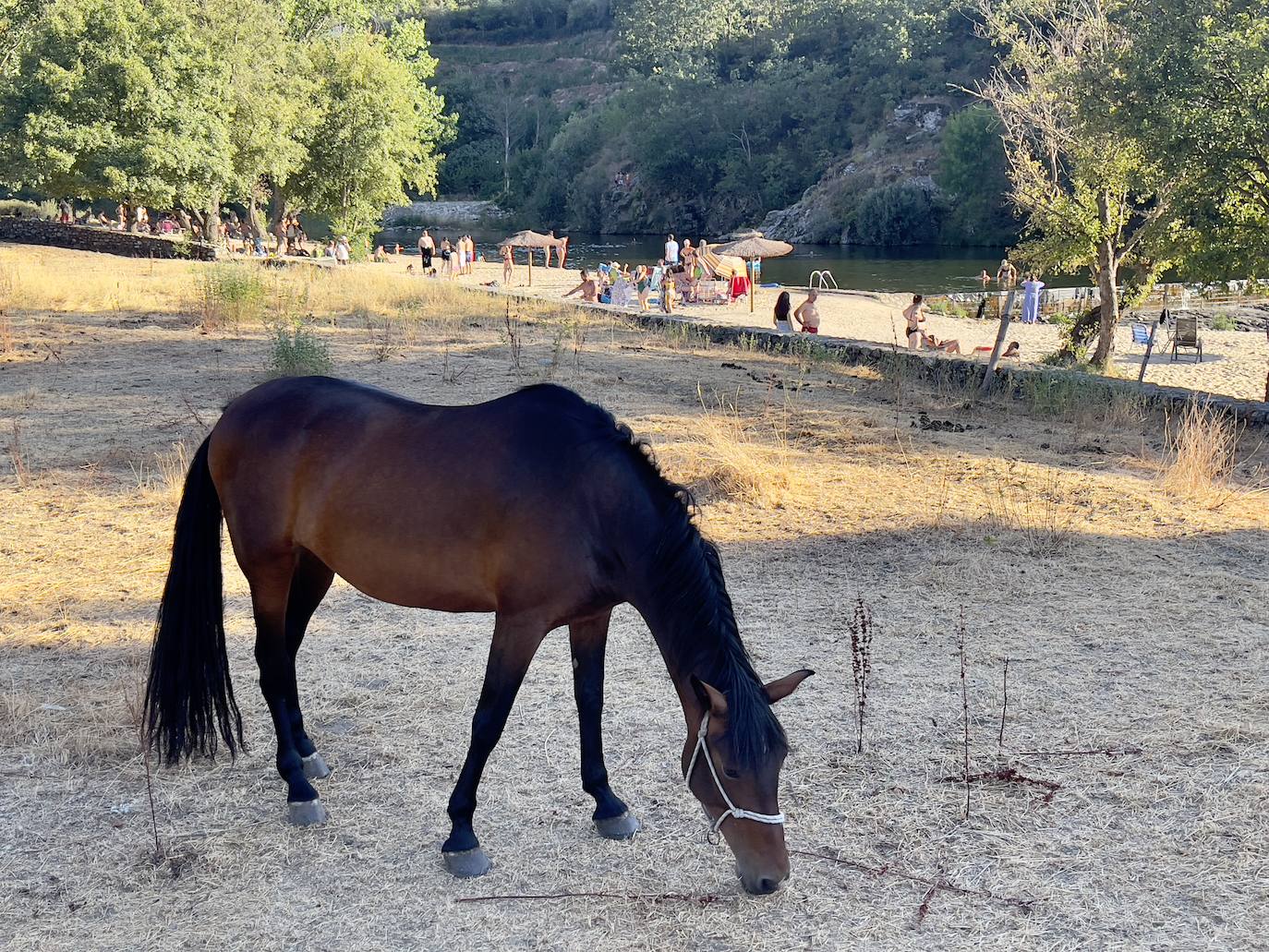 Fotos: Dos piscinas naturales en una