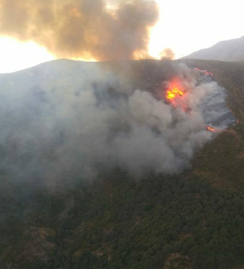 Fotos: Imágenes del incendio declarado en Tornavacas