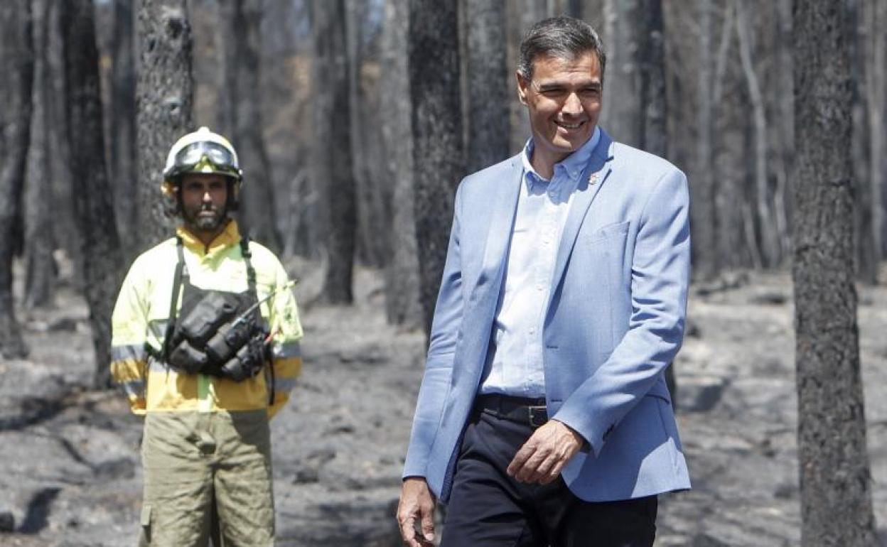 El presidente del Gobierno, Pedro Sánchez. 