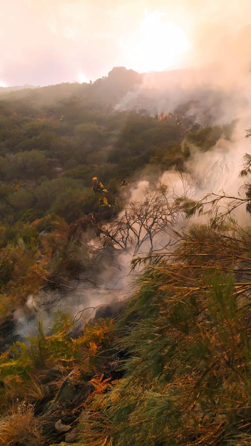 Fotos: Imágenes del incendio declarado en Tornavacas
