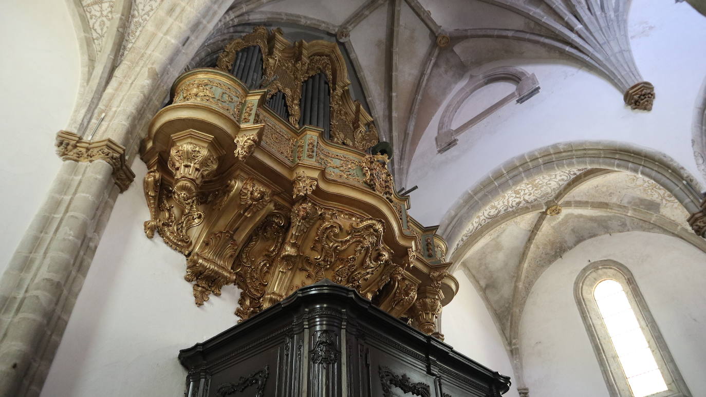 Detalle del órgano. 