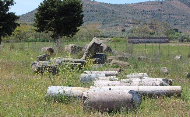 Partes de columnas y otros restos romanos esparcidos por el suelo de Regina.
