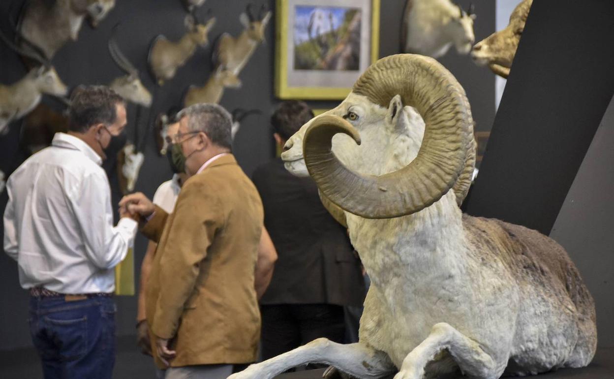 Feciex abre mañana sus puertas con entradas gratuitas. 