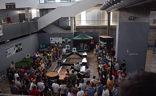 Exhibición de zorros con perros de madriguera. 