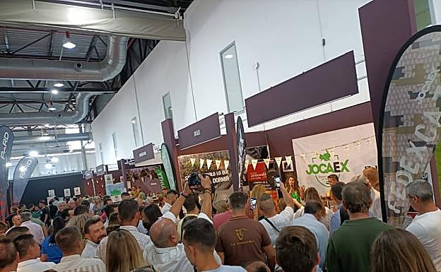 No ha faltado ni el concurso de flamenco. 