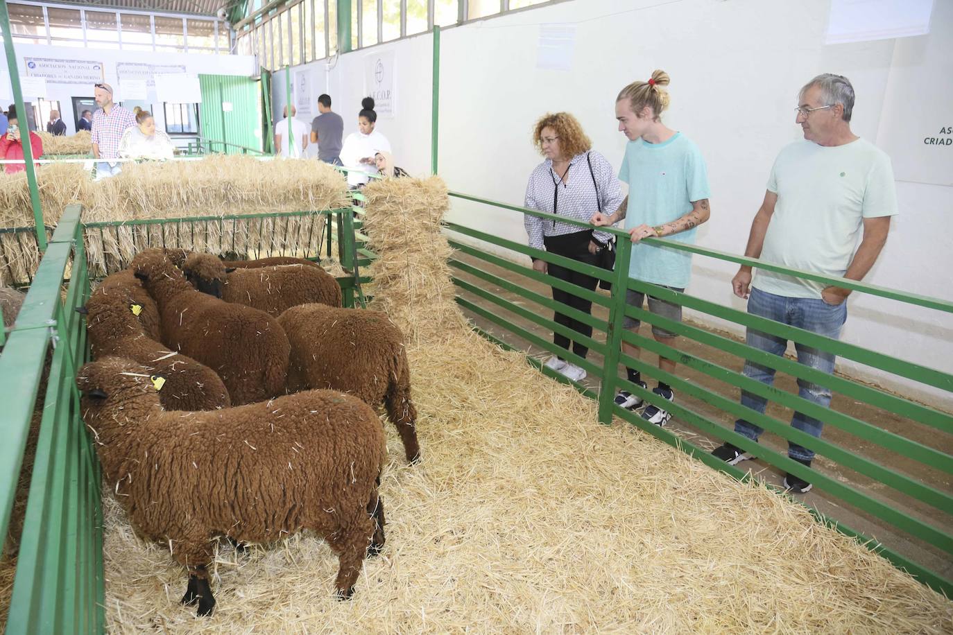 Inauguración Feria Ganadera de Zafra