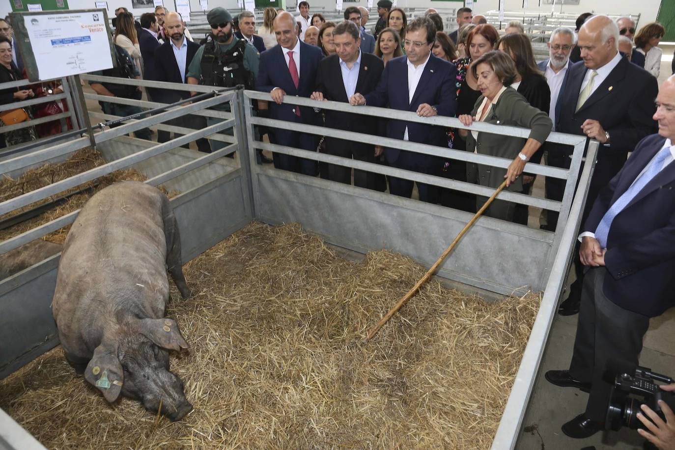 Fotos: Imágenes del primer día de la Feria Internacional Ganadera de Zafra